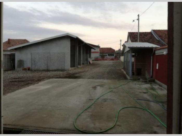 hala,plac kruševac mačkovac besplatni mali oglasi