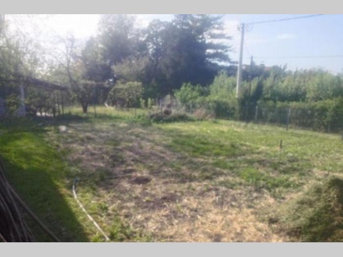 beograd,pančevački put kuća, 8ari besplatni mali oglasi