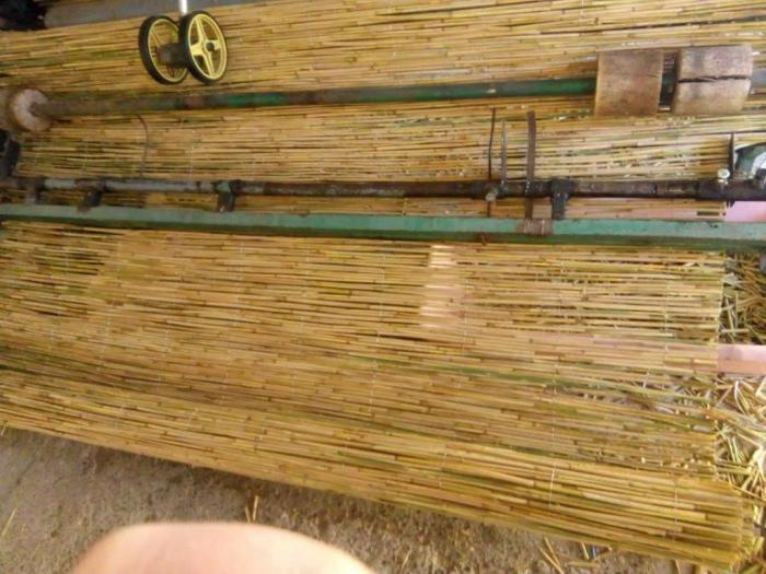 trska pletena pocinkovanom žicom i zelena trska besplatni mali oglasi