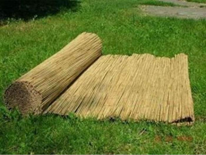 trska pletena pocinkovanom žicom i zelena trska besplatni mali oglasi