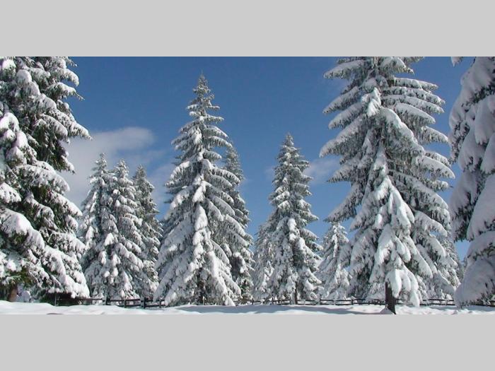 kuća za odmor krinica, zlatar besplatni mali oglasi