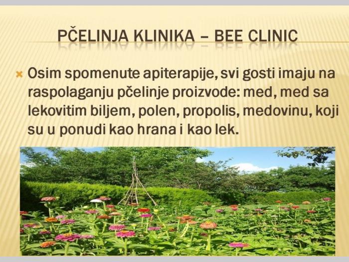 pčelinja klinika bee clinic besplatni mali oglasi