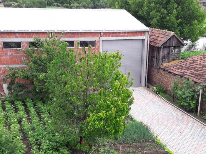 hala 200m x1100m, beška izdavanje besplatni mali oglasi
