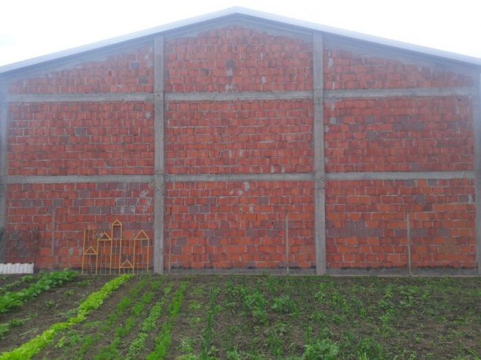 hala 200m x1100m, beška izdavanje besplatni mali oglasi