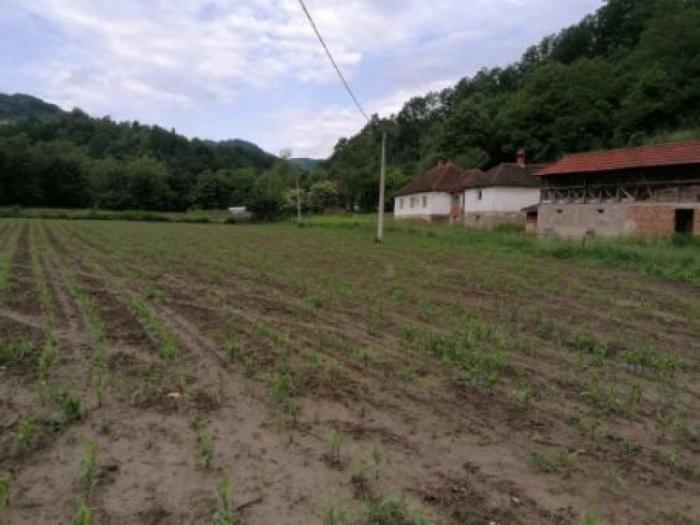 prodajem kuću sa imanjem, selo carina besplatni mali oglasi