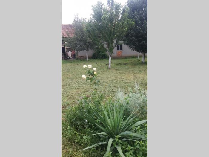 kuća u dobanovcima besplatni mali oglasi