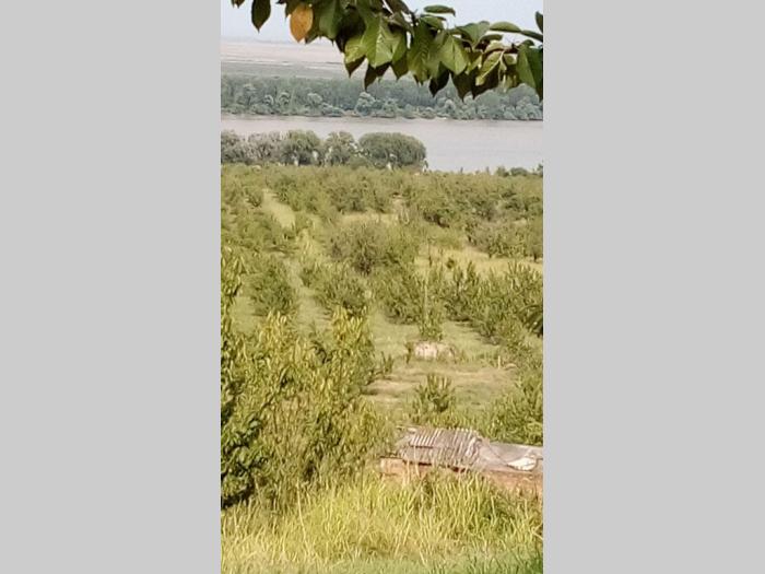 prodajem plac u ritopeku besplatni mali oglasi