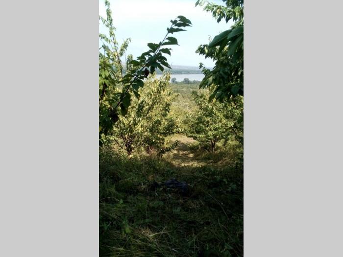 prodajem plac u ritopeku besplatni mali oglasi