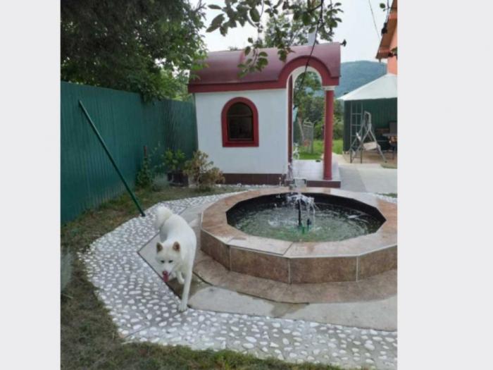 vikendica kragujevac teferic,kuća 115m2,plac 6,7ari besplatni mali oglasi