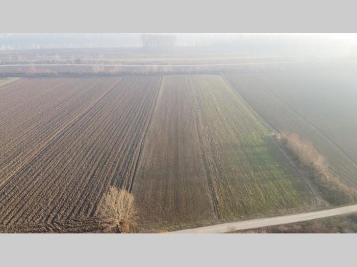 poljoprivredno zemljište boljevci surčin besplatni mali oglasi
