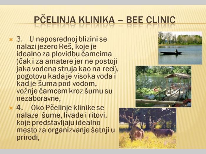 bačko nnovo selo besplatni mali oglasi