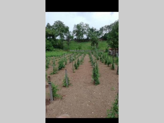 godži sok potpuno prirodan besplatni mali oglasi