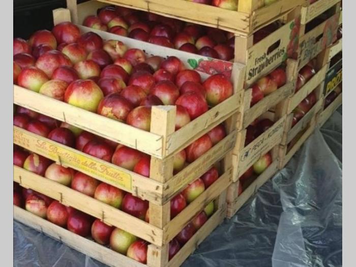 voćnjak i vinograd u banoštoru fruška gora besplatni mali oglasi