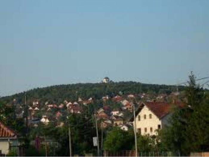 njiva u topoli besplatni mali oglasi