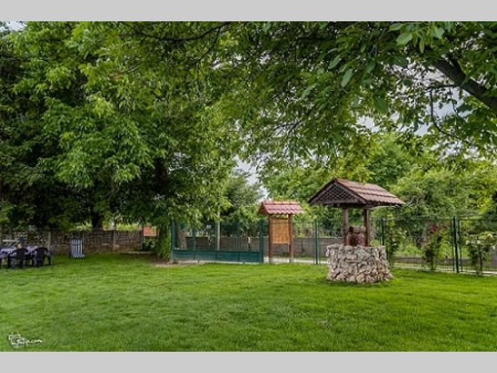 američka akita besplatni mali oglasi