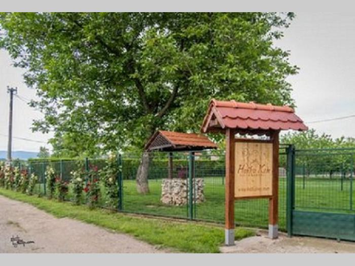 američka akita besplatni mali oglasi