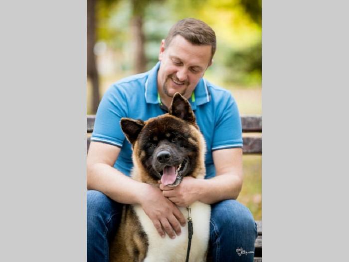 američka akita besplatni mali oglasi