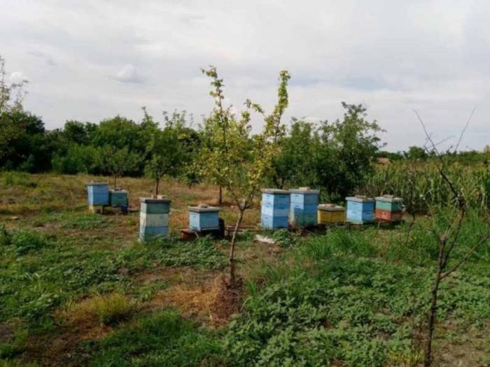 kuća na prodaju međa žitište besplatni mali oglasi