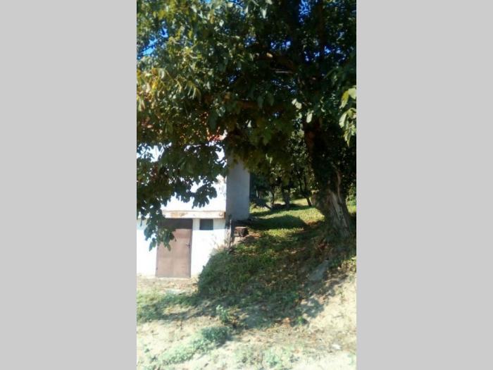 vikendica na fruškoj gori besplatni mali oglasi