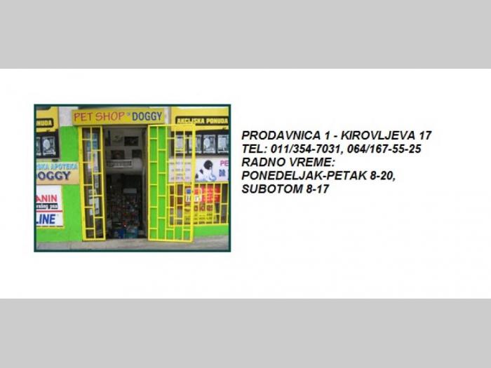 pet shop beograd besplatni mali oglasi