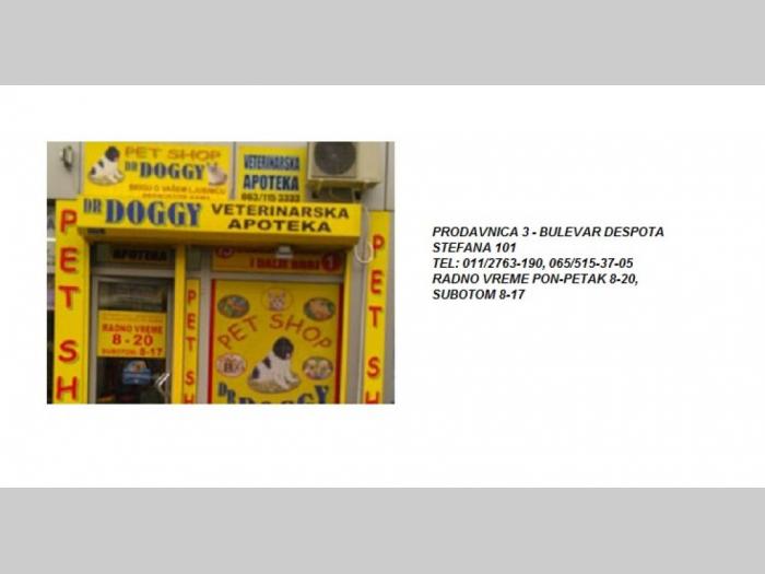 pet shop beograd besplatni mali oglasi