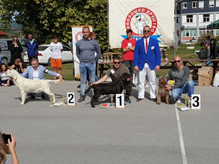 slobodan za parenje besplatni mali oglasi
