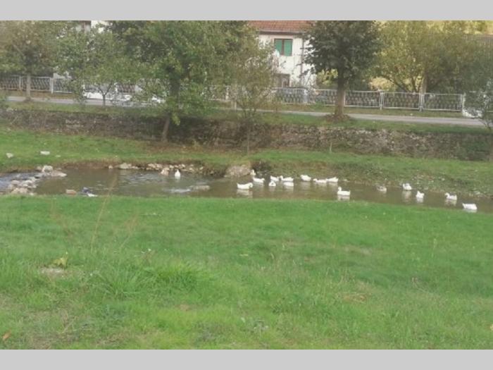kompletno domaćinstvo u selu dobra besplatni mali oglasi