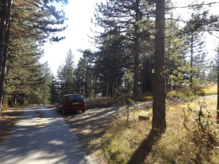 prodaje se plac u mušvetama, zlatibor, čajetina besplatni mali oglasi