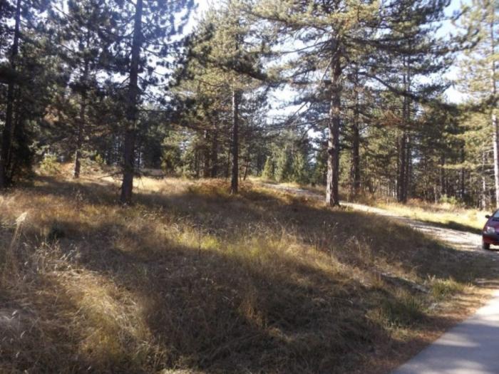 prodaje se plac u mušvetama, zlatibor, čajetina besplatni mali oglasi