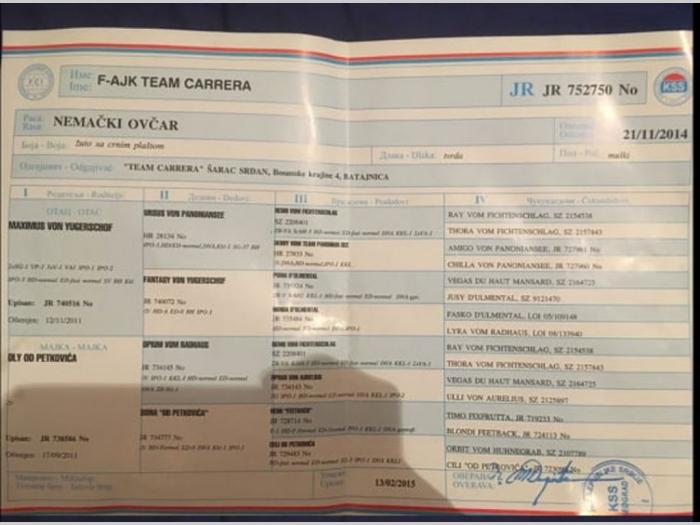 nemački ovčar sa pedigreom besplatni mali oglasi