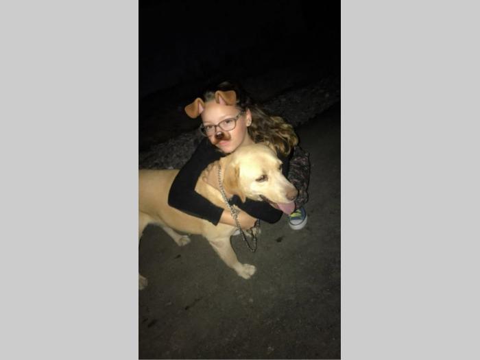 nova legla štenaca labradora besplatni mali oglasi