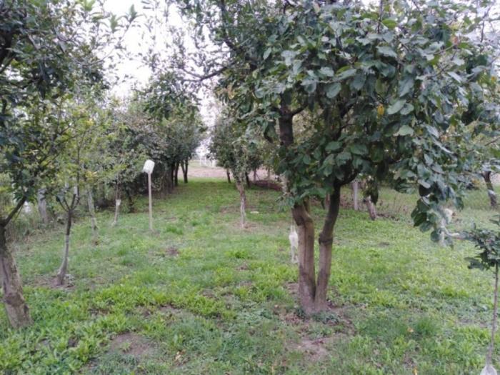 kuća za odmor besplatni mali oglasi