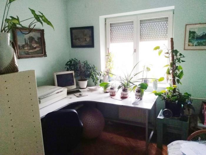 lep trosoban stan novi sad besplatni mali oglasi