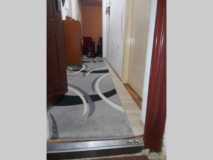 prodajem stan u novom sadu besplatni mali oglasi