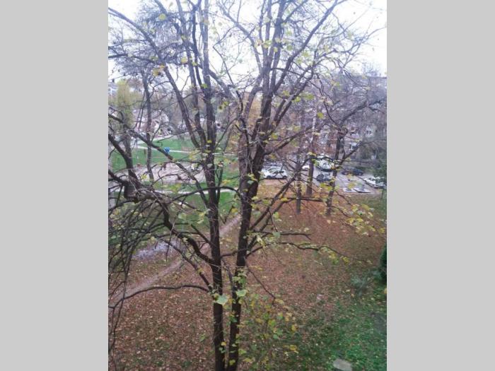 prodajem stan u novom sadu besplatni mali oglasi