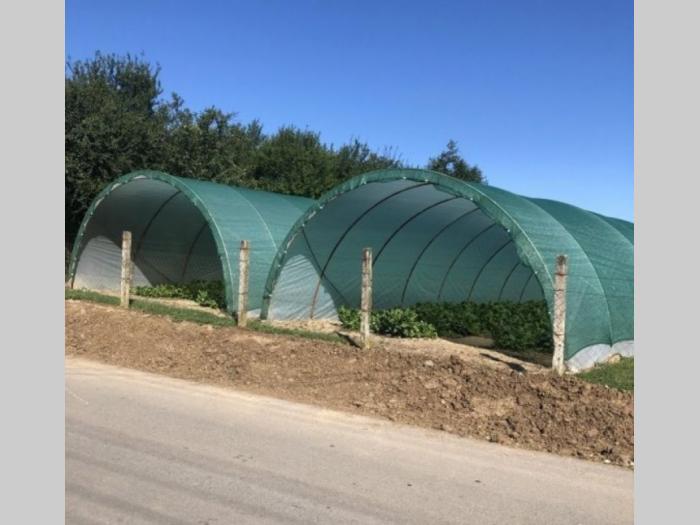 kuće sa razređenim poslom besplatni mali oglasi