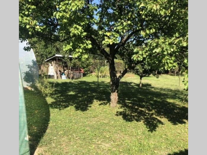 kuće sa razređenim poslom besplatni mali oglasi