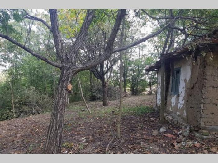 plac junkovac topola besplatni mali oglasi