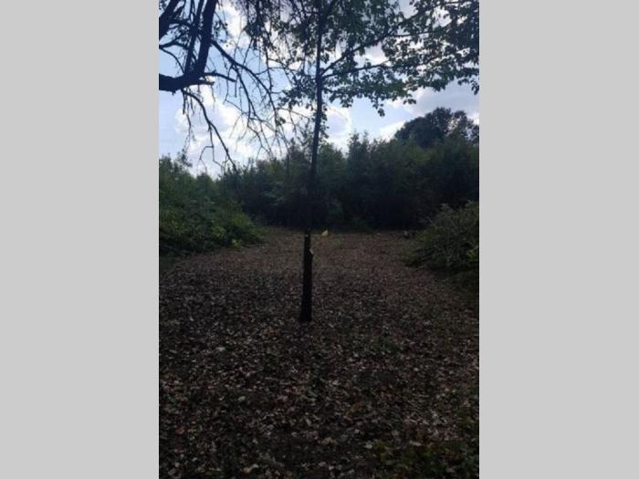 plac junkovac topola besplatni mali oglasi
