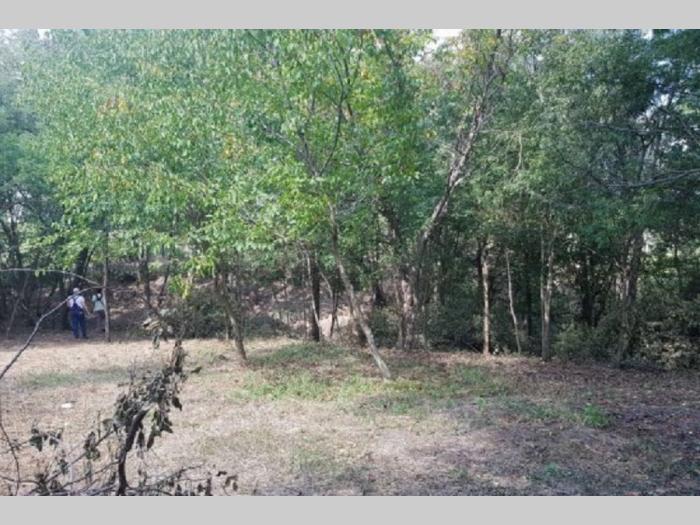 plac junkovac topola besplatni mali oglasi