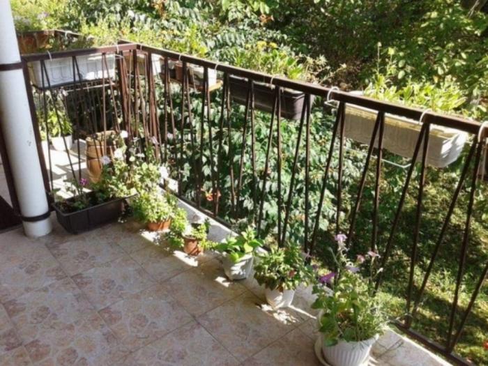 kuća i letnjikovac na fruškoj gori besplatni mali oglasi