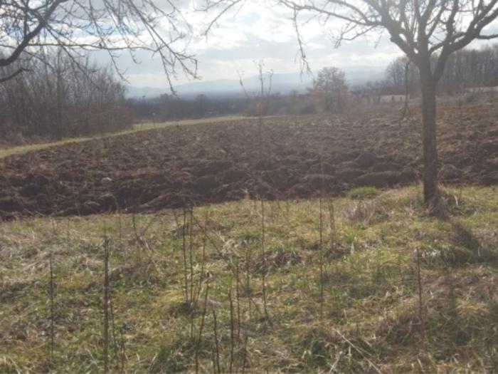 prodajem seosko domaćinstvo, donja trepča, čačak besplatni mali oglasi