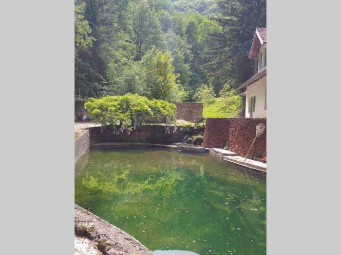 kuća sa imanjem u selu ba ljig besplatni mali oglasi