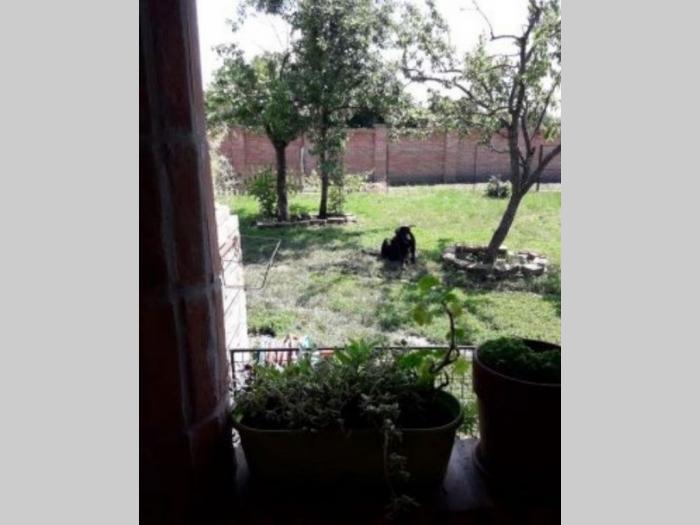 kuća u perlezu 300m2 besplatni mali oglasi