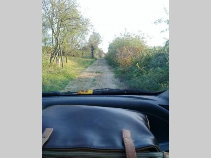 kuća vikendica loznica runjani besplatni mali oglasi