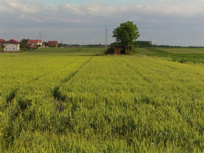 plac u surčinu besplatni mali oglasi