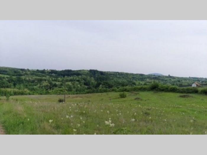 prodaja poljoprivrednog zemljišta u okolini mladenovca besplatni mali oglasi