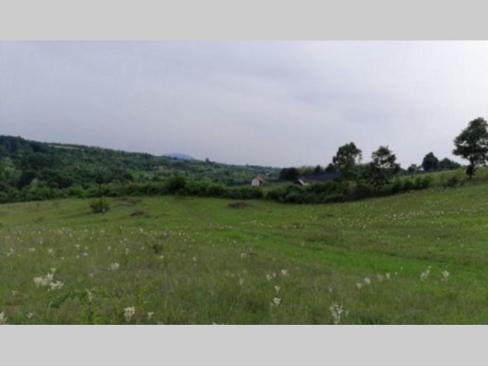 prodaja poljoprivrednog zemljišta u okolini mladenovca besplatni mali oglasi