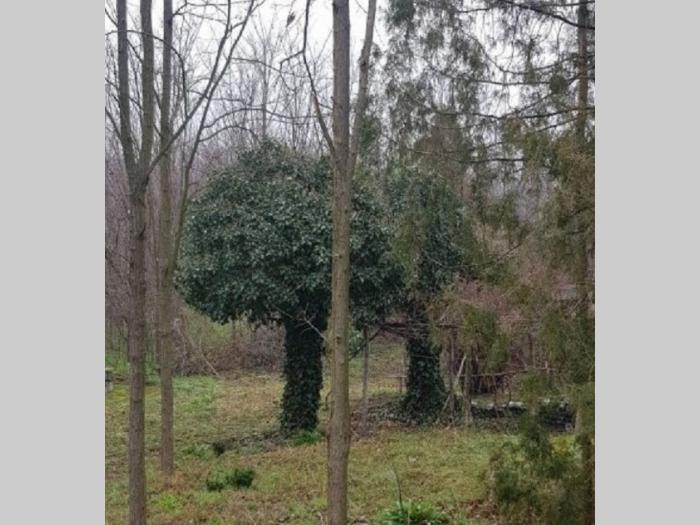 vikendica, pomoćni objekti, plac besplatni mali oglasi
