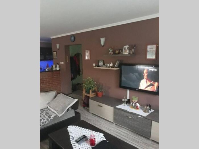 porodična kuča u borči besplatni mali oglasi